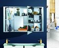 stainless steel mirror cabinet 2
