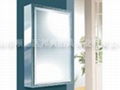 stainless steel mirror cabinet