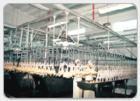 Poultry slaughtering line 3