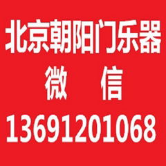 吉他尤克里里小提琴二胡大提琴薩克斯長黑管小號 琵琶