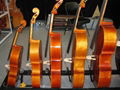 北京新出厂的大提琴大优惠 3