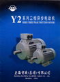 Y2 SERIES THREE PHASE INDUCTION MOTORS