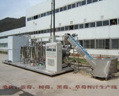 Yangling Red Mulberry Fruit Food Technology Co., Ltd.