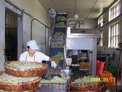 Fresh Grape Juice Production Line