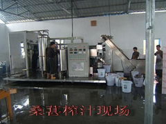 Fresh Mulberry Juice Production Line