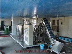 Fresh Schisandra Juice Production Line