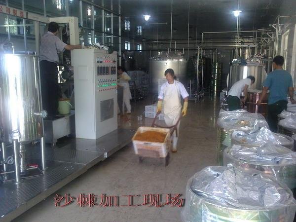 Fresh Sea Buckthorn Juice Production Line 3