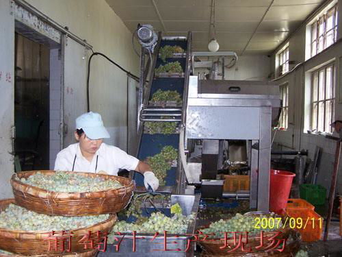 NFC Fresh Fruit Juice Production Line  4