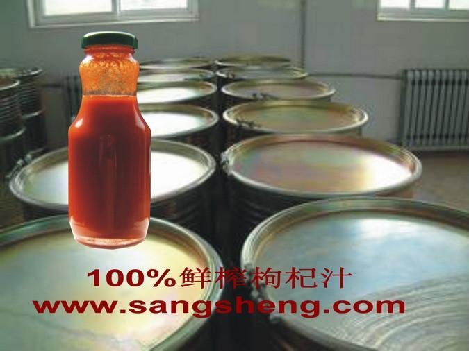 Fresh Medlar(Goji) Juice Production Line  2