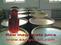 Fresh Pomegranate Juice Production Line 3