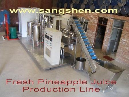Fresh Pineapple Juice Production Line