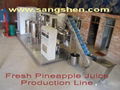 Fresh Pineapple Juice Production Line 1