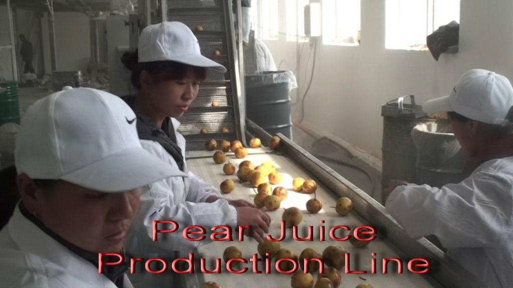 Pear Juice Production Line