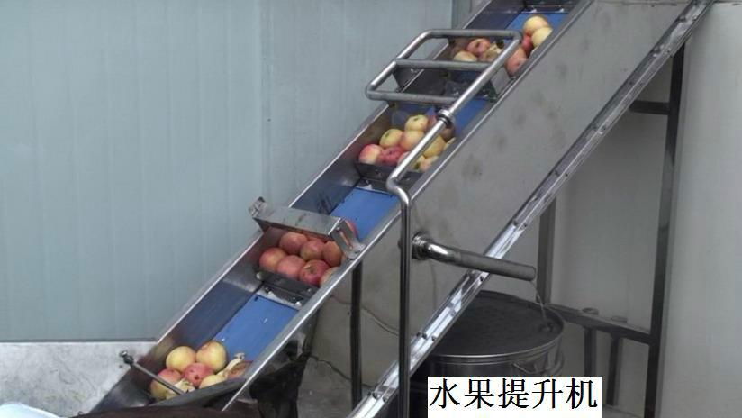 Fresh Apple Juice Production Line 2