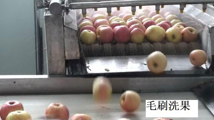 Fresh Apple Juice Production Line 3