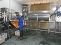 Fresh Mandarin Juice Production Line 4