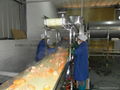 Fresh Mandarin Juice Production Line 5