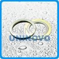 Spiral wound gasket with inner and outer ring  2