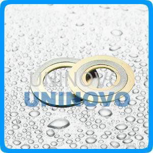 CG wond gasket 3