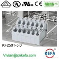 Spring terminal block connector dual row 2 level wire connector