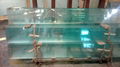 Laminated glass 4