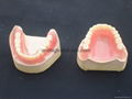 Full Acrylic Denture 3