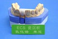 Dental Zirconia crown