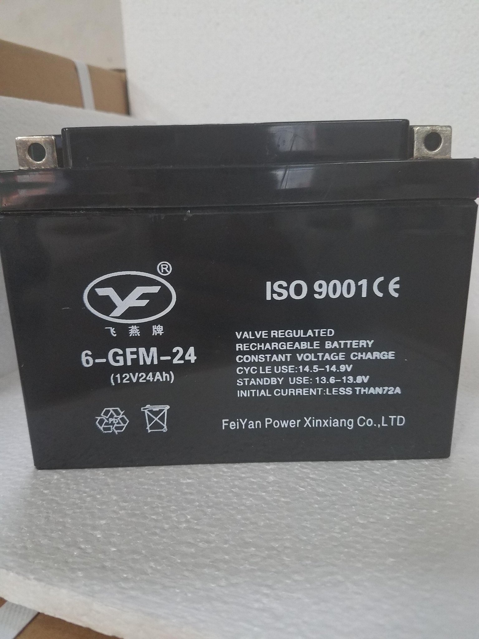 Special maintenance free lead acid battery for 12v24ah battery fire UPS 2