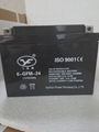 Special maintenance free lead acid battery for 12v24ah battery fire UPS