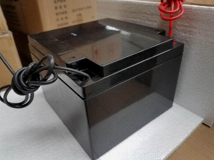 Special maintenance free lead acid battery for 12v24ah battery fire UPS 3