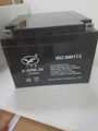 Special maintenance free lead acid battery for 12v24ah battery fire UPS 4