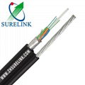 Outdoor Armoured Fiber Optical Cable with FRP Gyftc8a  1