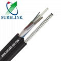 Outdoor Armoured Fiber Optical Cable with FRP Gyftc8a  3