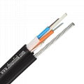 Outdoor Armoured Fiber Optical Cable with FRP Gyftc8a  2