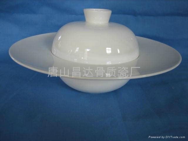 porcelain ware for party 2