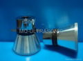 ultrasonic cleaning transducer