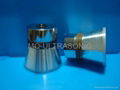 ultrasonic cleaning transducer