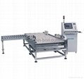 Automatic Weighing System