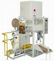 Automatic Bagging System