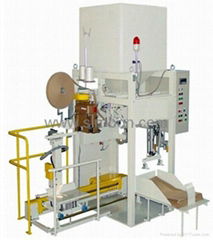 Automatic Bagging System