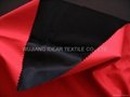 Bonded Polyester Pongee 