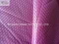 Stripe Polyester Nylon Fabric/Interwoven