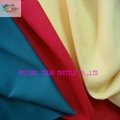 Colourful Waterproof Oxford Fabric for Awning 