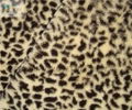 Leopard Printed Micro-Terry 2