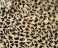 Leopard Printed Micro-Terry