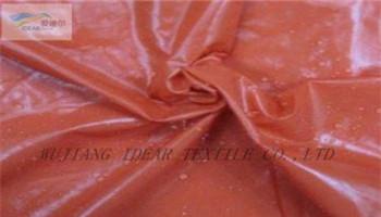 Cired Nylon Taffeta  2