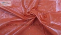 Cired Nylon Taffeta 