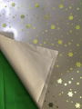 Star reflective fabric