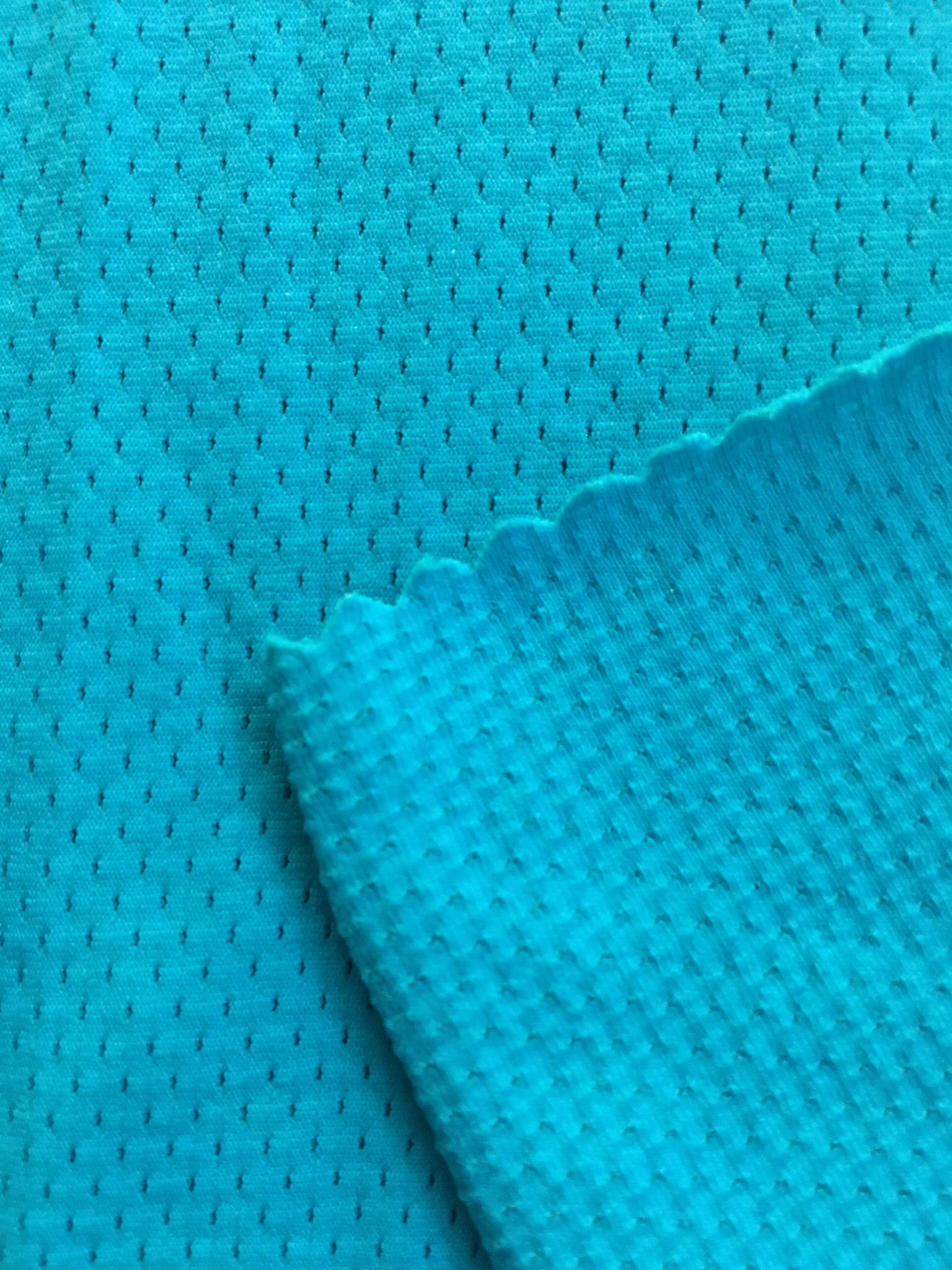 Nylon spandex butterfly mesh cloth