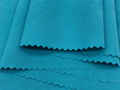 228T Polyester Taslon Fabric For Sportswear